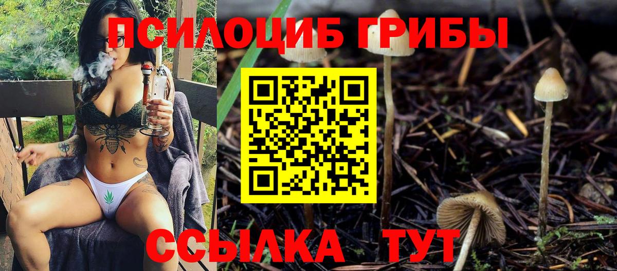 Будённовск  Псилоцибиновые грибы Magic Shrooms  Вход с VPN 